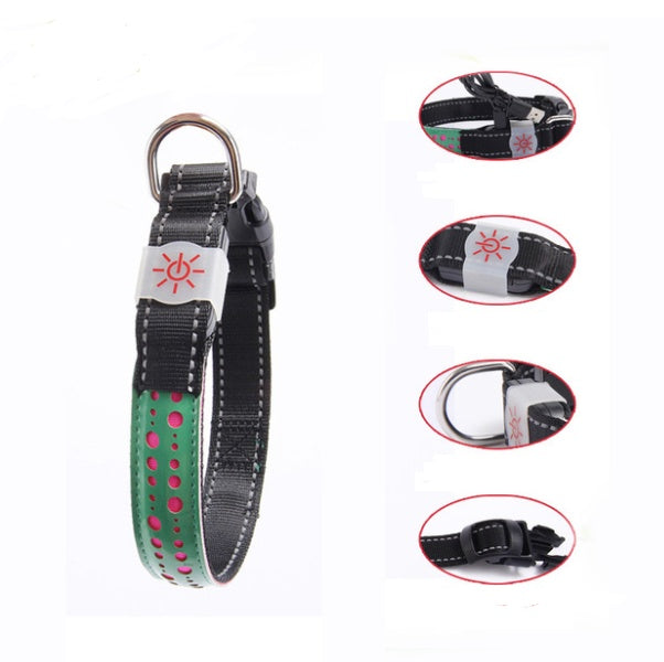 LED light collar pet collar