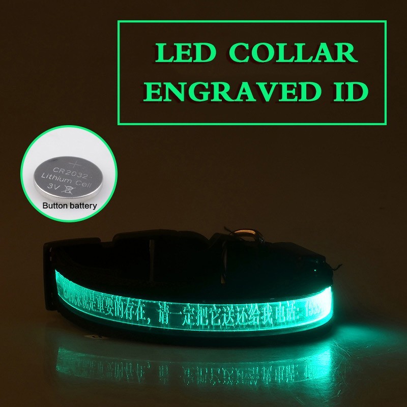 Pet Glow Collar Radium Carved Lettering Dog Collar