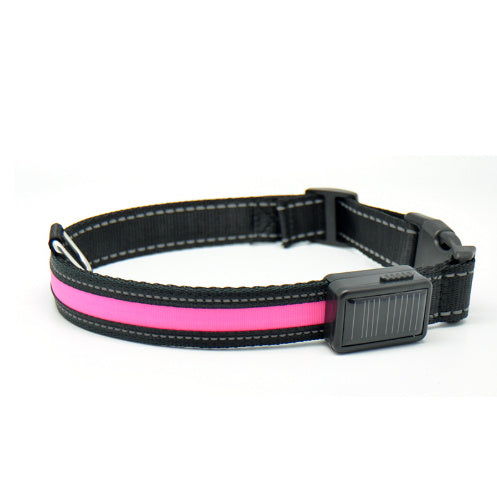 Fluorescent dog collar