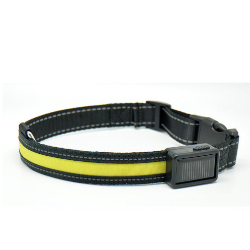 Fluorescent dog collar