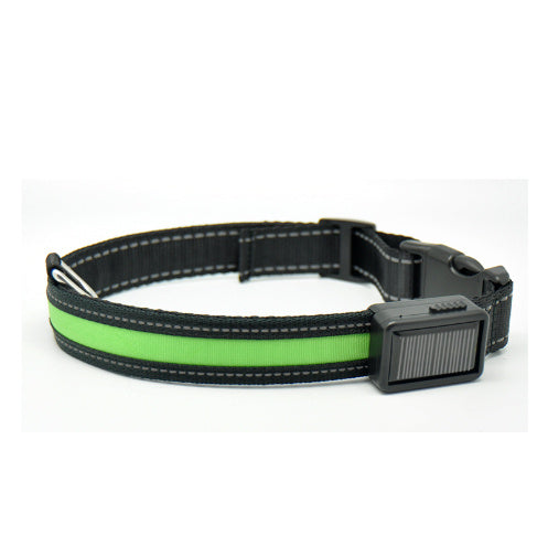 Fluorescent dog collar